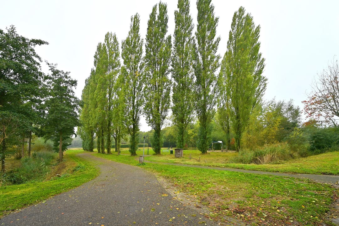 Foto 43 van Meerkoet 7