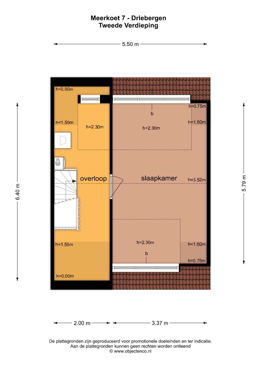 Foto 50 van Meerkoet 7