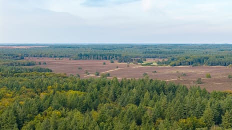 Sparrenlaan 4 secondary image