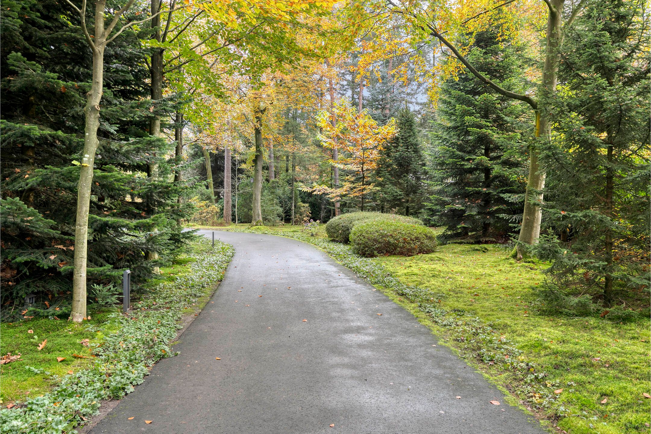 Photo 6 of Sparrenlaan 4