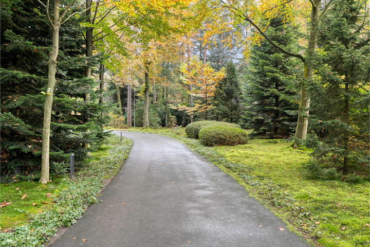 Foto 6 van Sparrenlaan 4