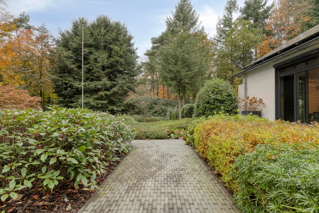 Photo 61 of Sparrenlaan 4