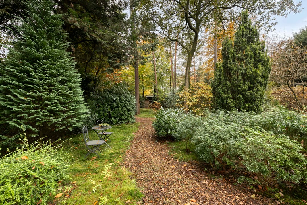 Photo 62 of Sparrenlaan 4