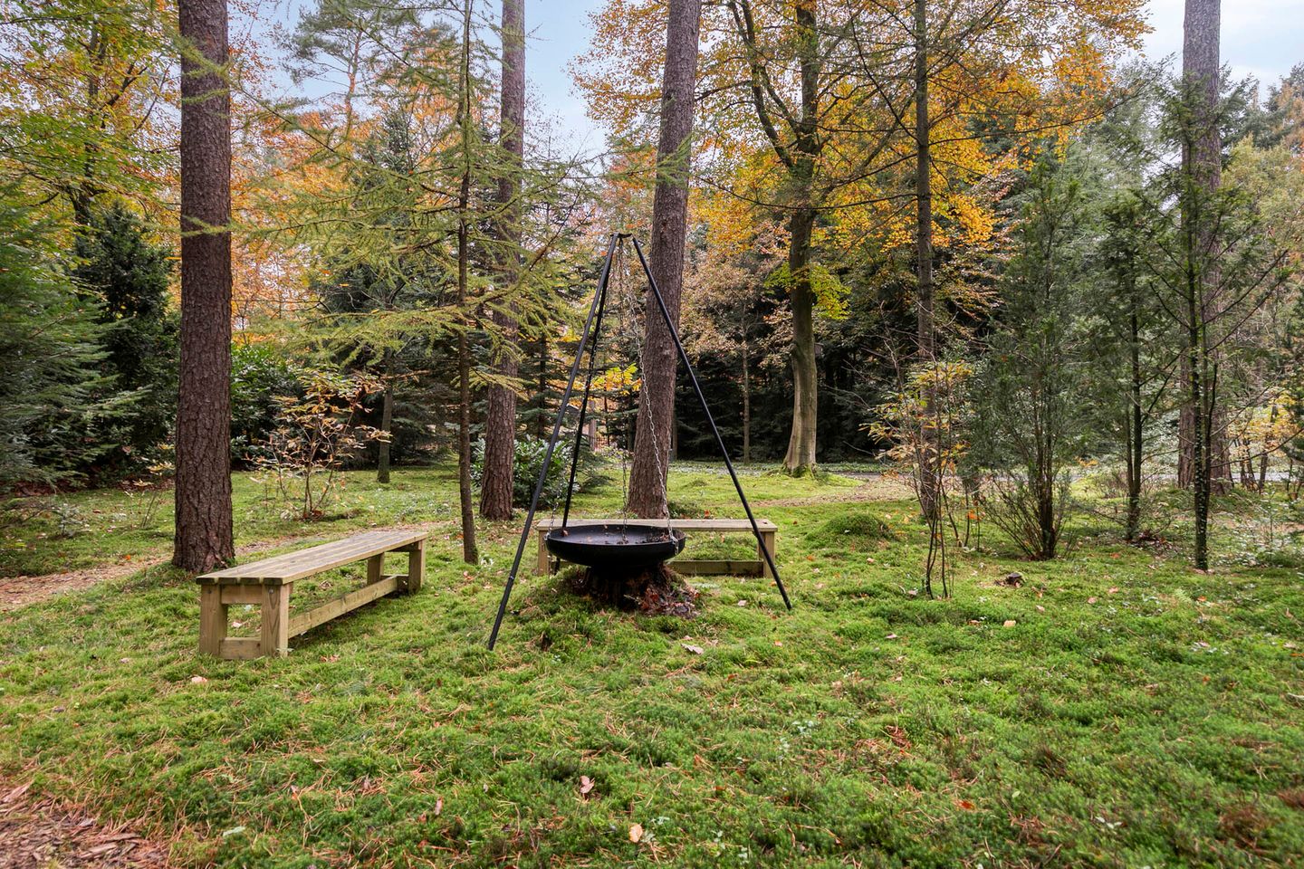 Photo 64 of Sparrenlaan 4