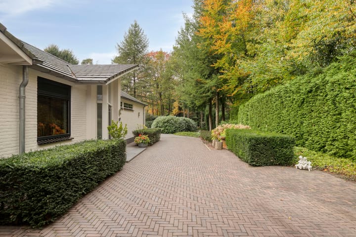 Foto 70 van Sparrenlaan 4