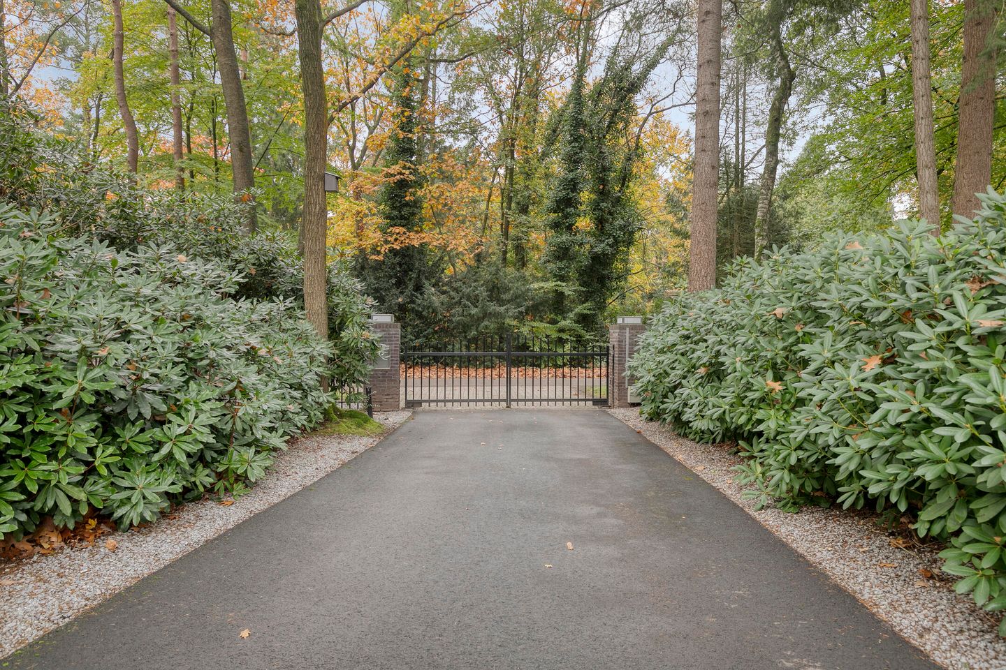 Photo 74 of Sparrenlaan 4