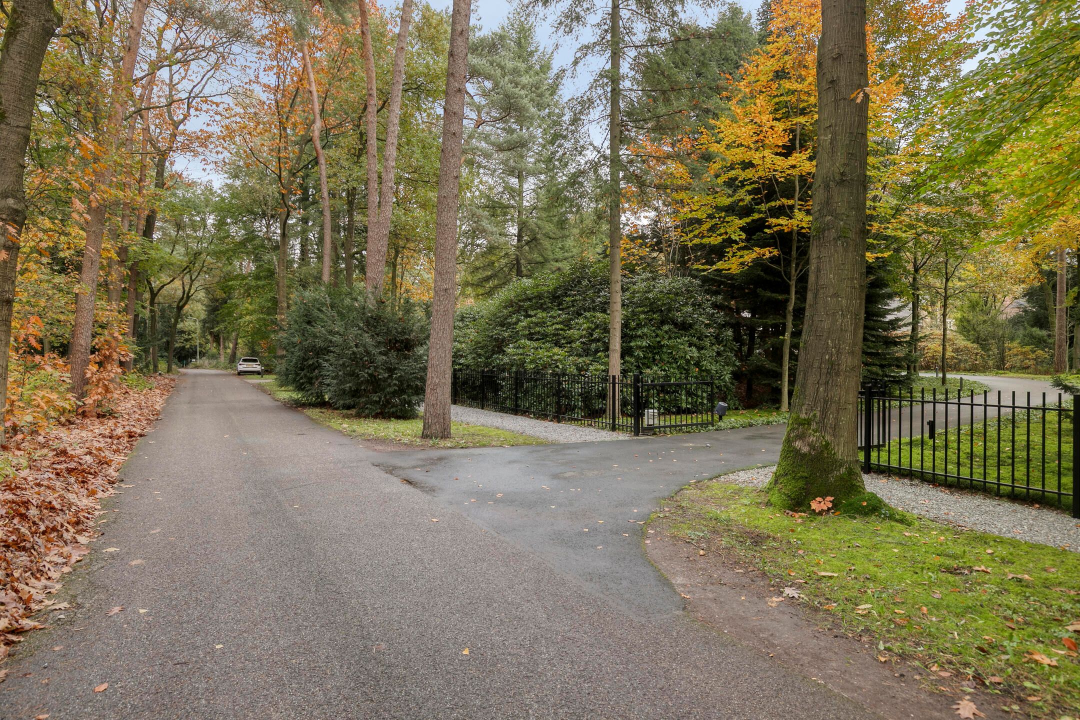 Photo 75 of Sparrenlaan 4