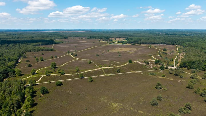 Foto 79 van Sparrenlaan 4