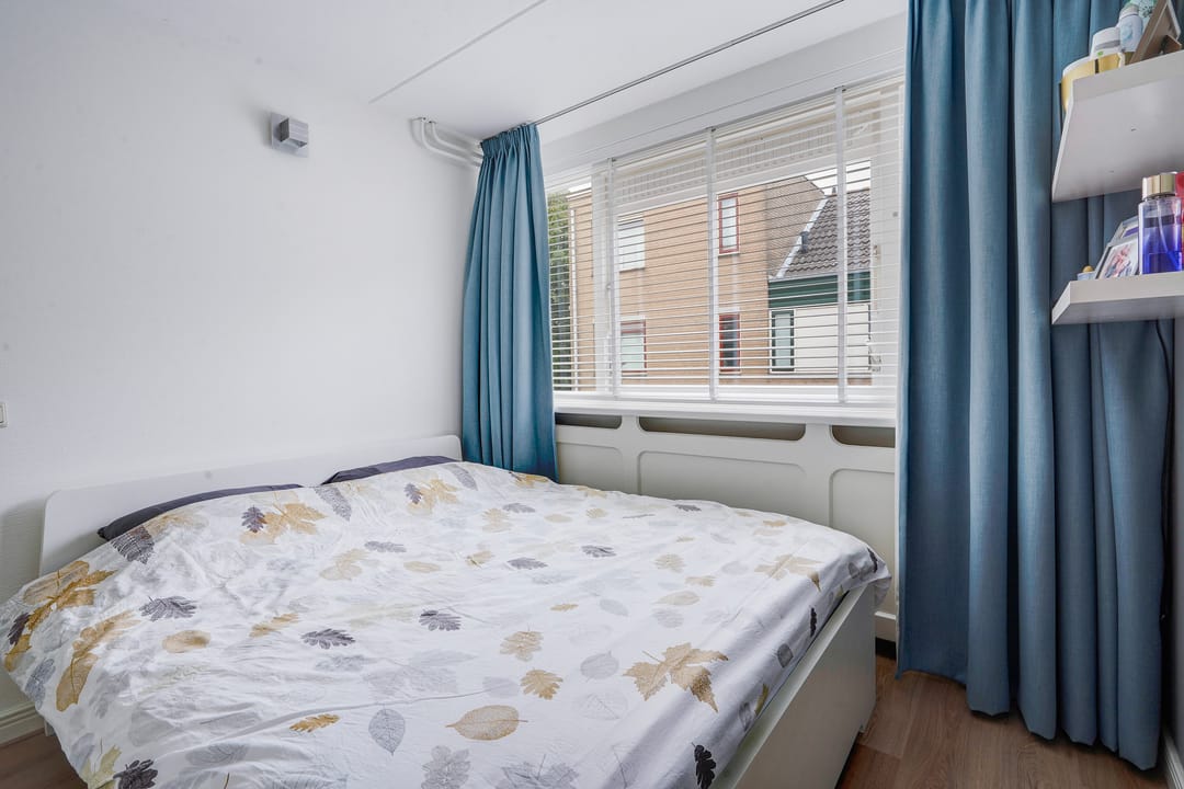 Foto 22 van Zilvermeeuw 22