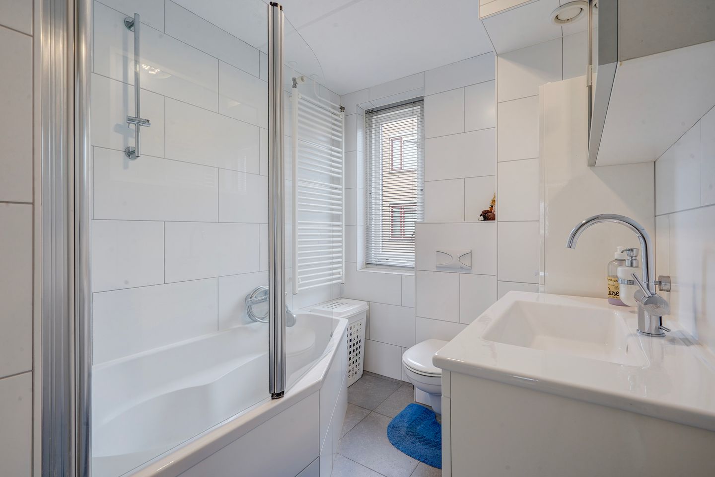 Foto 25 van Zilvermeeuw 22