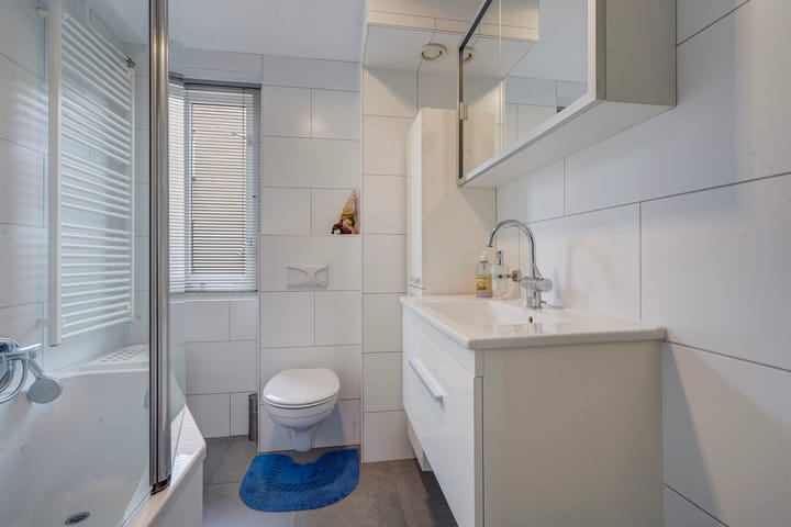 Foto 26 van Zilvermeeuw 22