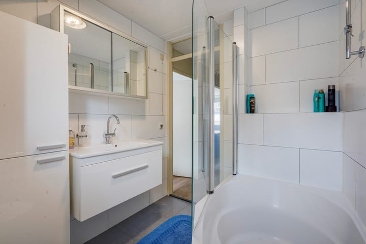 Foto 27 van Zilvermeeuw 22