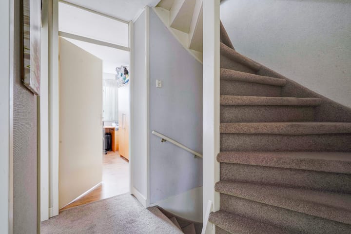 Foto 28 van Zilvermeeuw 22