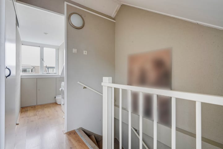 Foto 33 van Zilvermeeuw 22