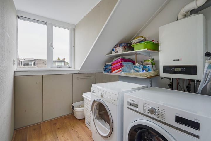 Foto 34 van Zilvermeeuw 22