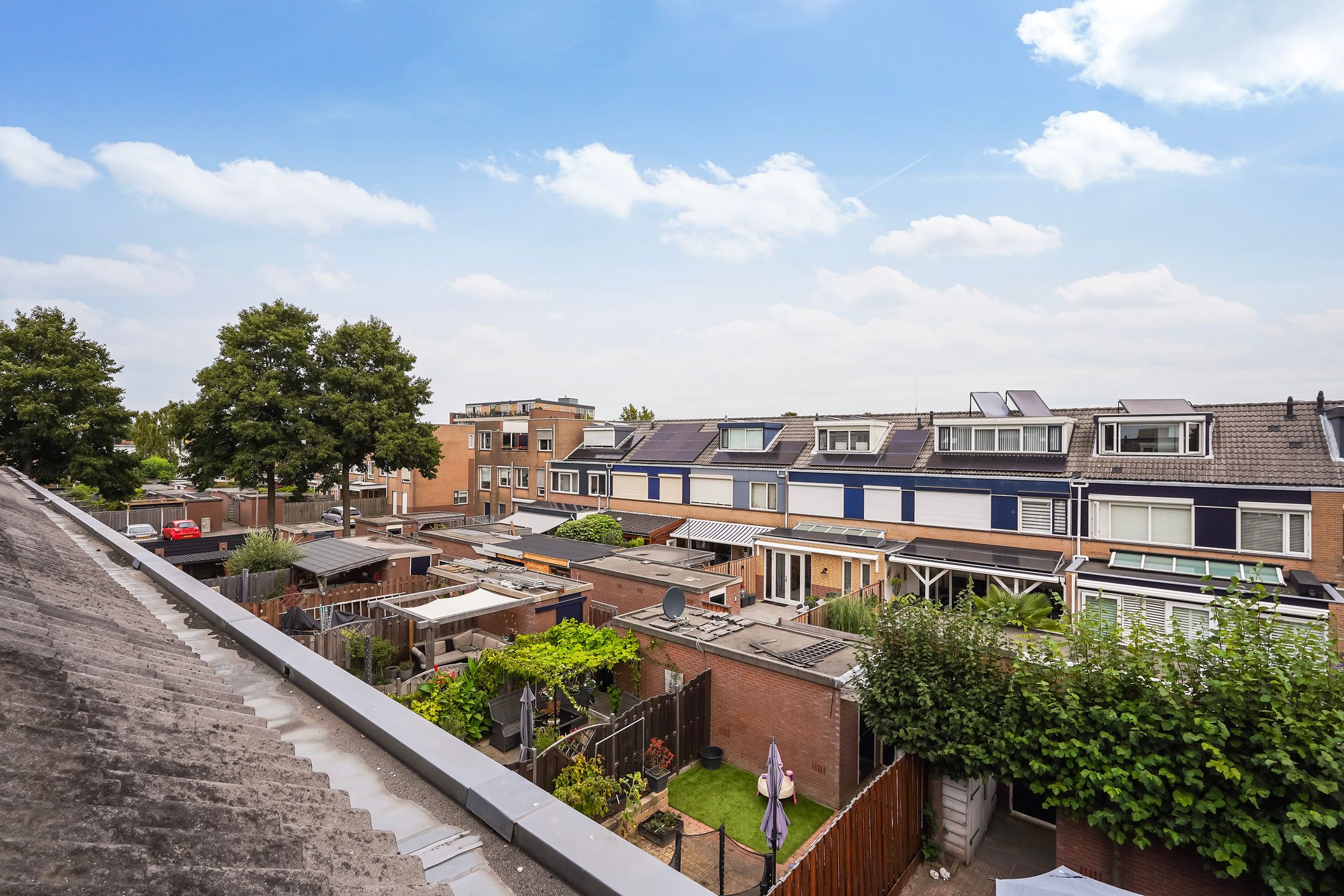 Foto 36 van Zilvermeeuw 22