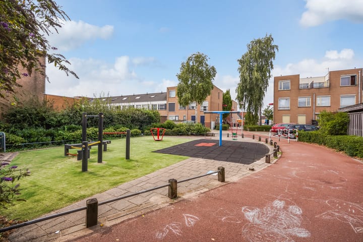 Foto 37 van Zilvermeeuw 22