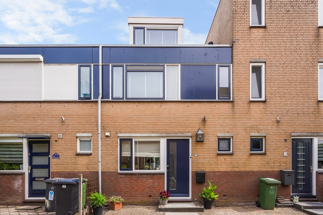 Foto 1 van Zilvermeeuw 22