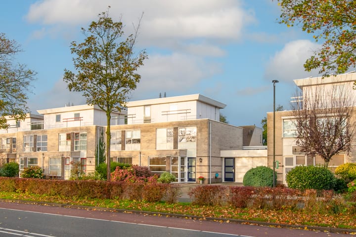 Foto 4 van Reuzenpandasingel 96