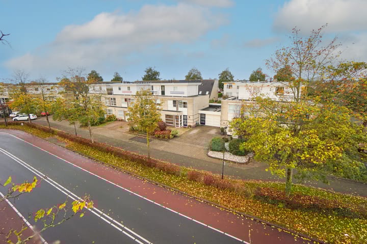 Foto 48 van Reuzenpandasingel 96