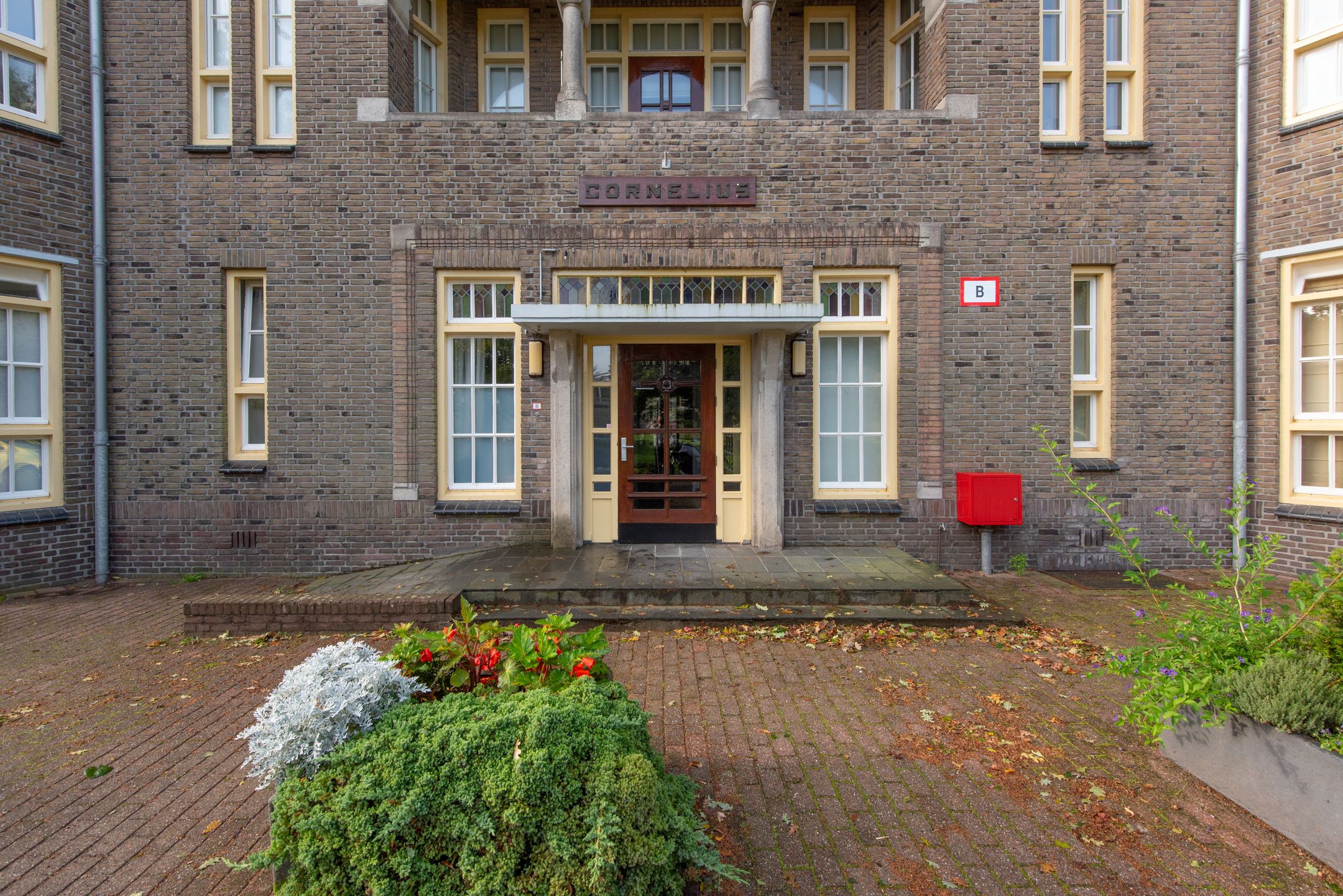 Photo 33 of De Olvendijk 57