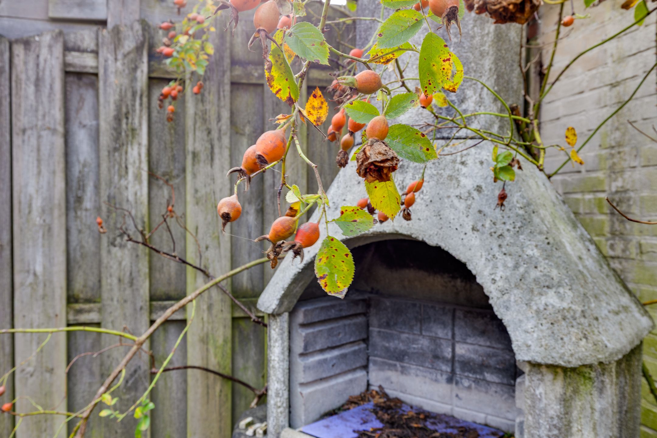 Foto 15 van Prins Clausstraat 7