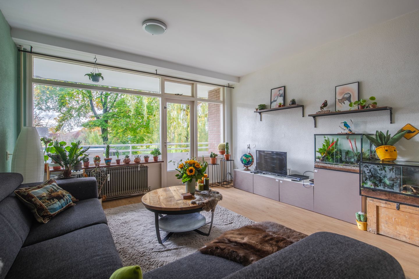 Foto 19 van Van Borselenstraat 174