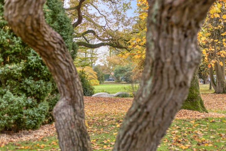 Foto 26 van Westerstraat 11-D