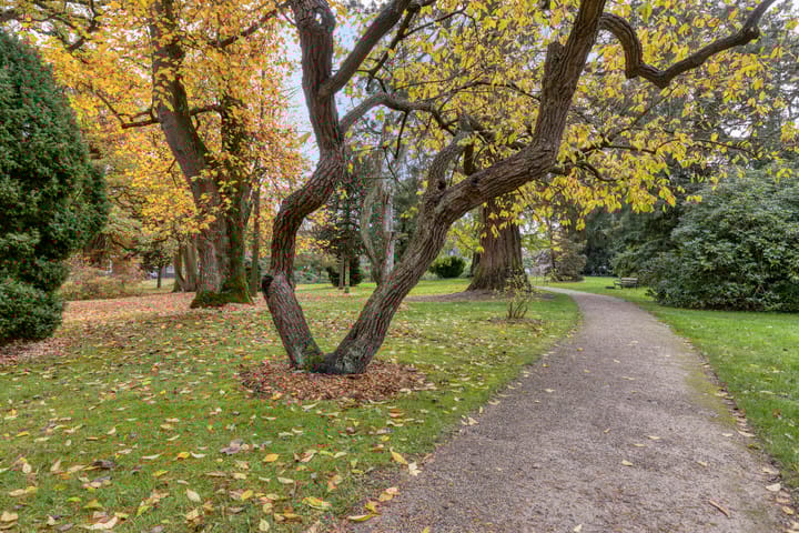 Foto 27 van Westerstraat 11-D