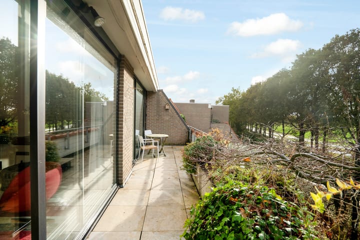 Foto 35 van De Eschmolen 309