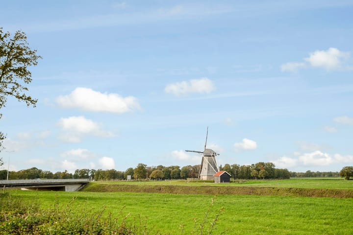 Foto 43 van De Eschmolen 309