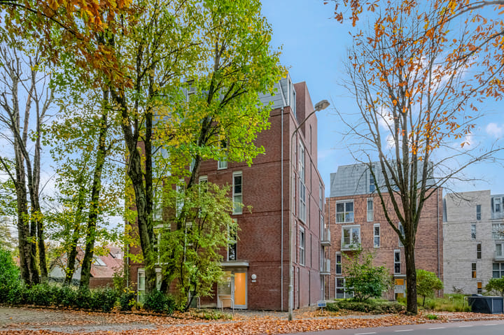 Foto 45 van Ericalaan 2-M