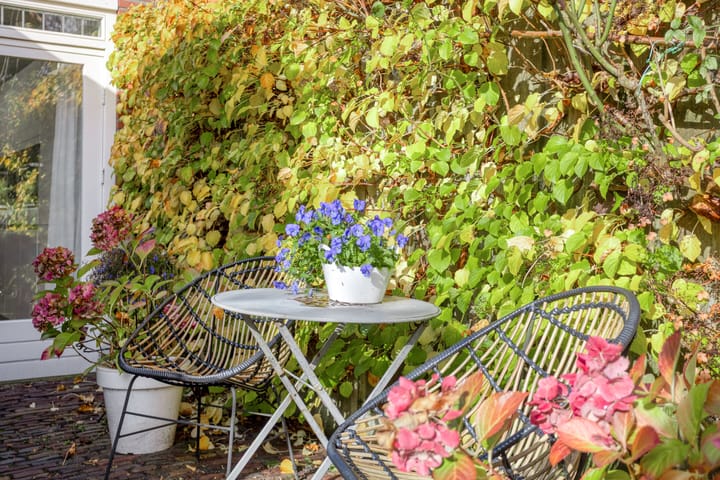 Foto 40 van Oldenzaalsestraat 370