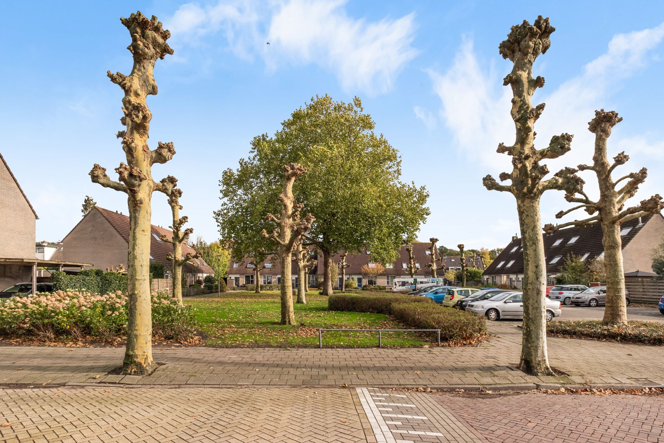 Photo 39 of Wilgenlaan 52