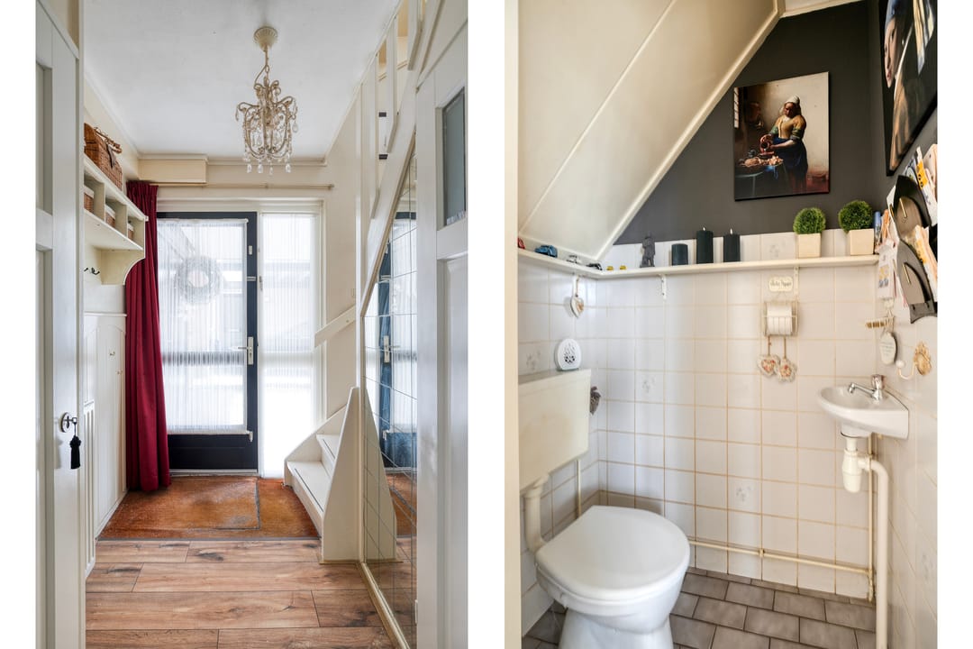 Photo 2 of Rietmees 11