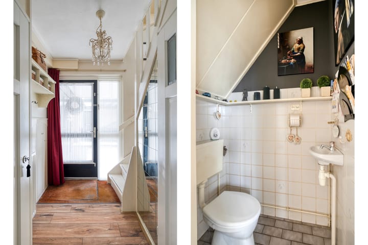 Foto 2 van Rietmees 11