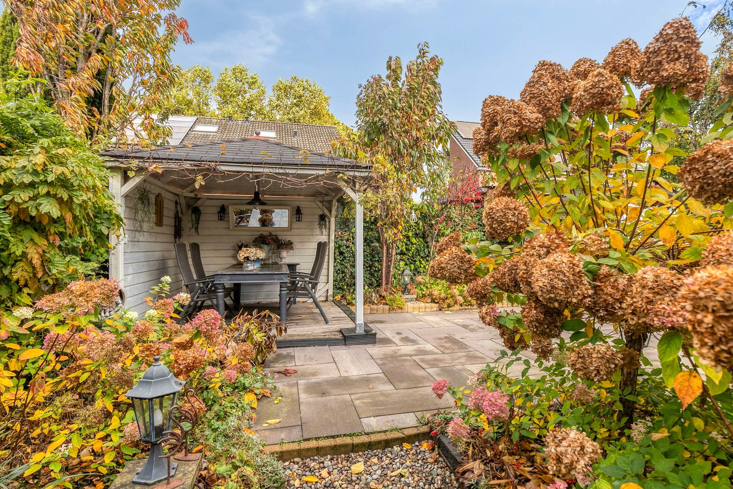 Photo 20 of Rietmees 11