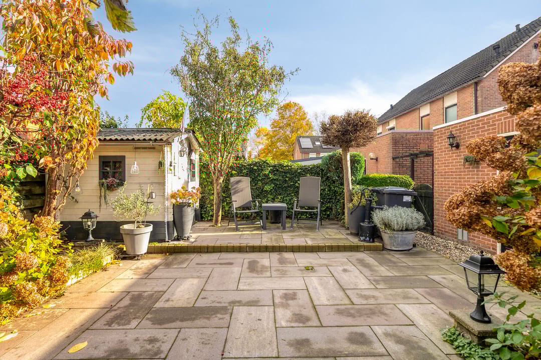 Photo 22 of Rietmees 11