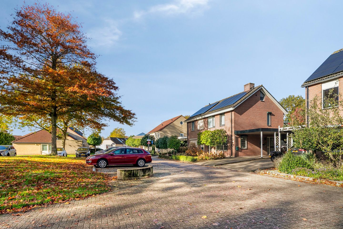 Photo 25 of Rietmees 11