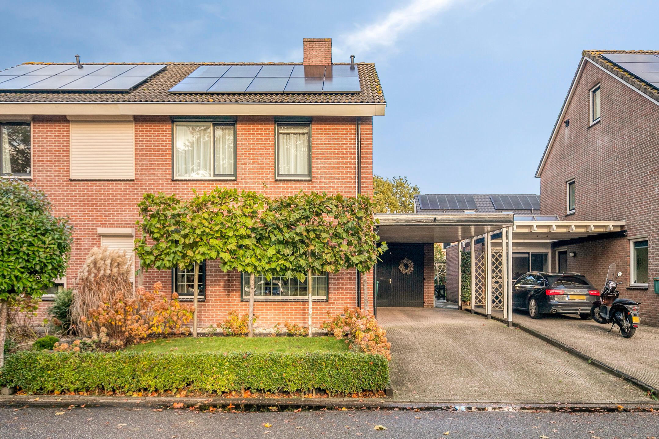 Photo 24 of Rietmees 11