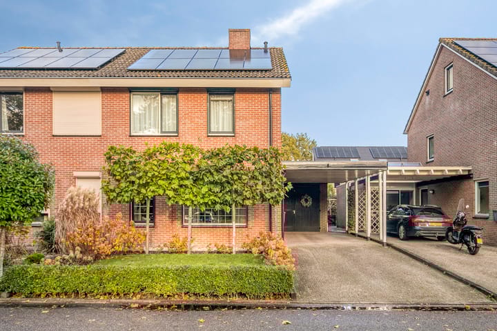 Foto 24 van Rietmees 11