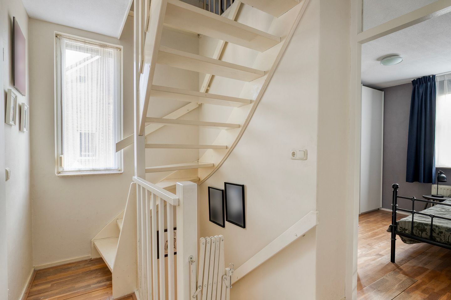 Photo 10 of Rietmees 11