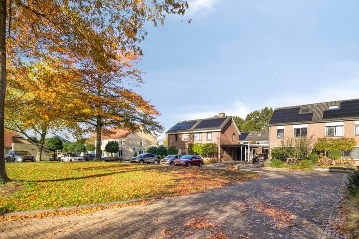 Foto 26 van Rietmees 11