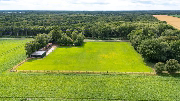 Photo 12 of Berkenrode 10