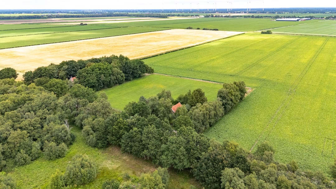 Foto 16 van Berkenrode 10