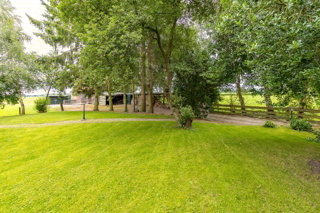 Foto 7 van Berkenrode 10