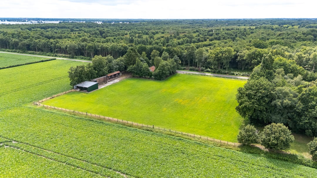 Foto 13 van Berkenrode 10