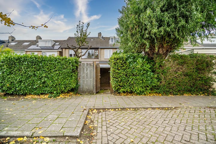 Photo 56 of Servatiusstraat 10