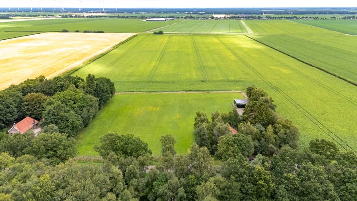 Photo 17 of Berkenrode 10