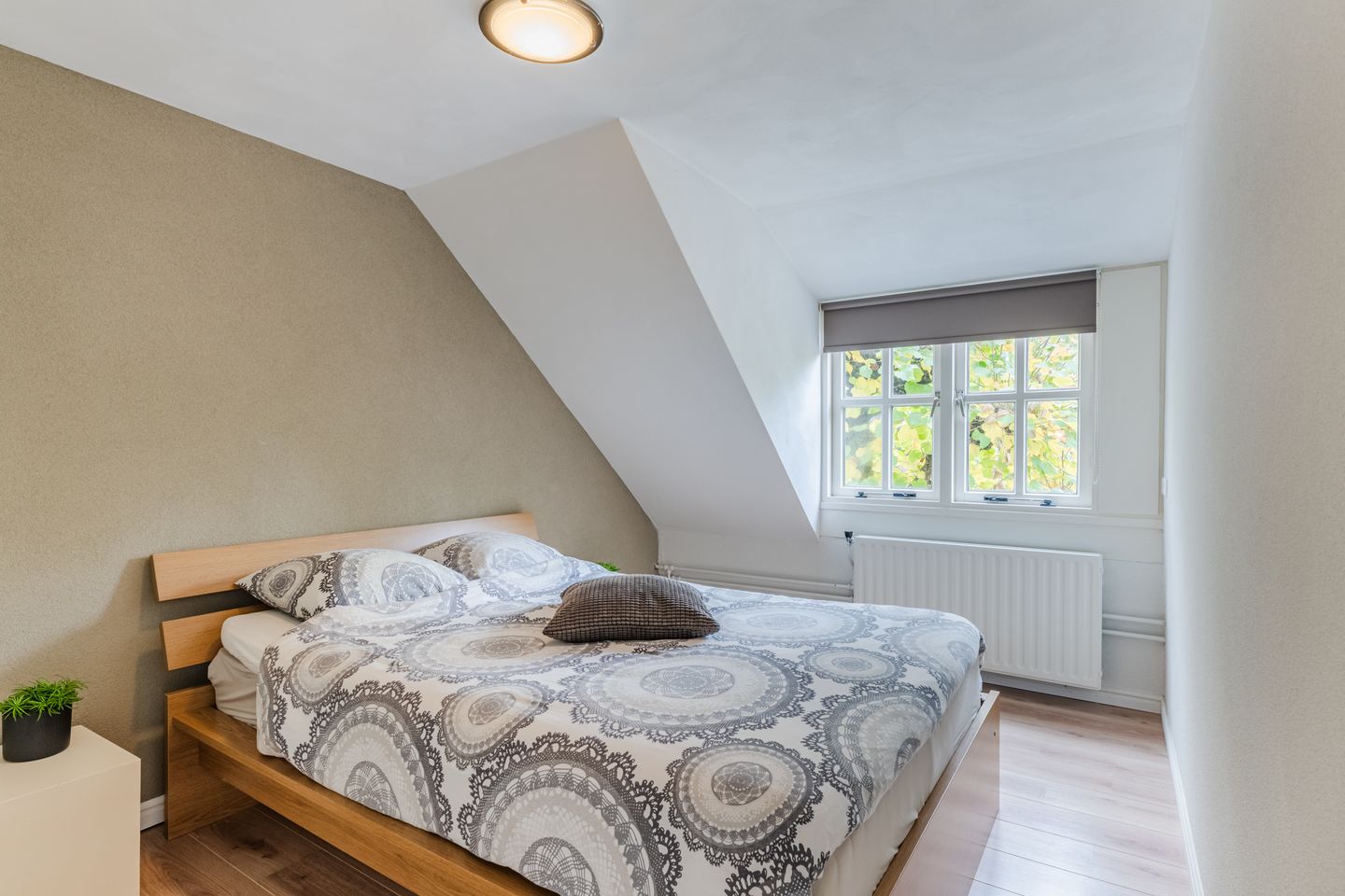 Foto 4 van Zandheuvel 107